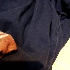 Kleding, zoals gemeld door Beekse Bergen Resorts en Hotel met iLost