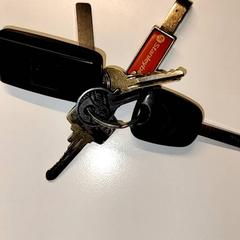 Bilnycklar, rapporterat av Ziekenhuis Oost-Limburg med iLost