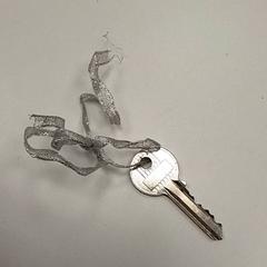 Nøkkel, som rapportert av ilévia ved bruk av iLost