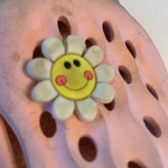 Croc, as reported by Avonturenboerderij Molenwaard using iLost