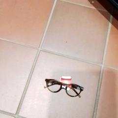 Lunettes Geel en bruin, a été signalé par Apenheul utilisant iLost
