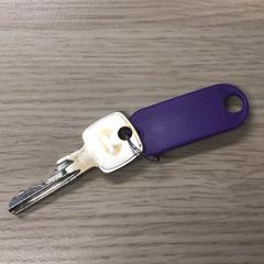 Key, as reported by Gemeente Arnhem using iLost