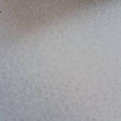 Telefon, som rapportert av De Efteling ved bruk av iLost