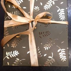 Paquete de agasallo, segundo informou Rotterdam The Hague Airport usando iLost