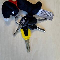 Klucze, zgłoszono przez Connexxion Haarlem IJmond przy użyciu iLost