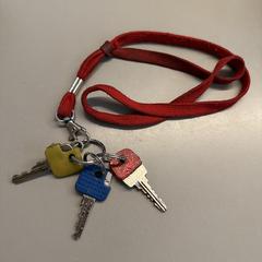 Sleutels, som rapporterats till iLost