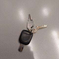 Sleutelbos، كما تم الإبلاغ عنه بواسطة Gemeente Hilversum عبر iLost