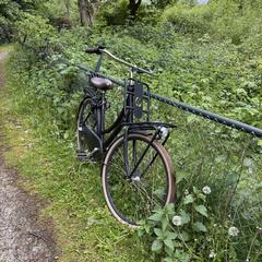 Fiets, as reported to iLost