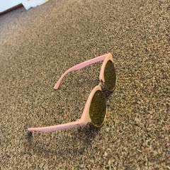 Des lunettes de soleil Roze, a été signalé par Burgers' Zoo utilisant iLost