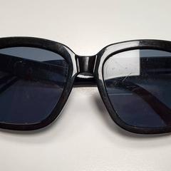 Solglasögon Zwart, rapporterat av DierenPark Amersfoort med iLost