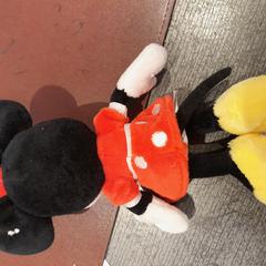 Koselig smell peluche, som rapportert av TCL ved bruk av iLost