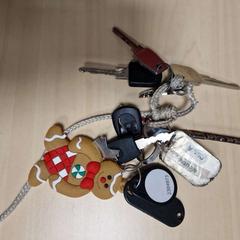 Porte-clés, a été signalé par Gemeente Roermond utilisant iLost