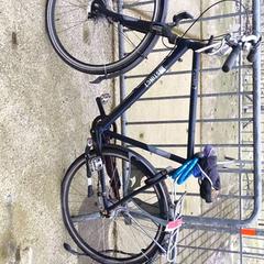 Bicicleta masculina Instinct, segons ha informat Stadswerk072 mitjançant iLost