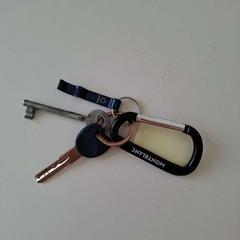 المفاتيح (متنوعة)، كما تم الإبلاغ عنه بواسطة ilévia عبر iLost