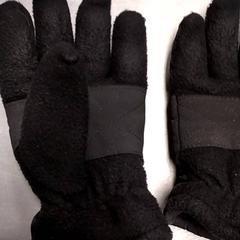 Handschoenen Zwart, zoals gemeld door Arriva Friesland / Groningen met iLost