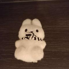 Xoguete, segundo informou Arriva Limburg Zuid usando iLost