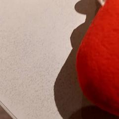 Knuffel がiLostで De Efteling によって報告されました