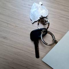 Key, as reported by Gemeente Hilversum using iLost