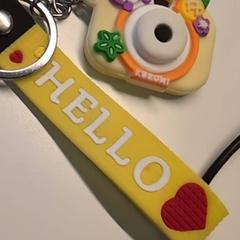 Sleutelhanger, zoals gemeld door Ziekenhuis Oost-Limburg met iLost