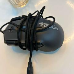 Rato met draad, como reportado por UMC Utrecht utilizando o iLost