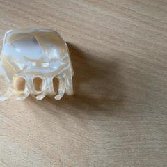 Haarspange, a été signalé par Schönbrunn "Group Center" utilisant iLost