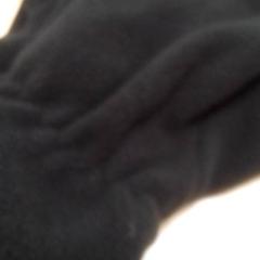 Handskar Zwart, rapporterat av Qbuzz Fryslân med iLost