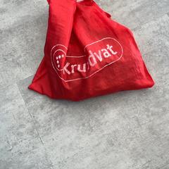 Torba, zgłoszono przez Arriva Achterhoek-Rivierenland przy użyciu iLost