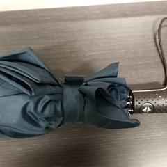 Paraplu, zoals gemeld door Centraal magazijn met iLost