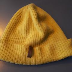 Muts, zoals gemeld door Transdev Gooi en Vechtstreek met iLost