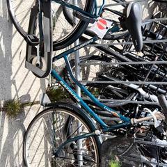 Bicicleta de mujer Batavus, ha sido reportado por Stadswerk072 con iLost