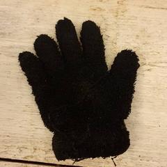 Luvas Zwart, segundo informou DierenPark Amersfoort usando iLost