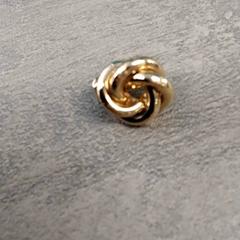 İLost kullanarak Arriva Friesland / Groningen tarafından bildirildiği gibi Küpe Goud kleurig