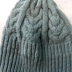 Beanie, as reported by Arriva Friesland / Groningen using iLost