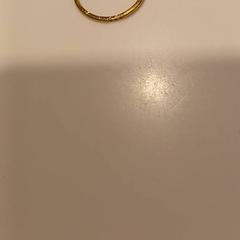 Joyas, ha sido reportado por RAI Amsterdam con iLost