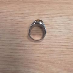 Anillo, ha sido reportado por Qbuzz Fryslân con iLost