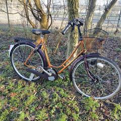 Oranje stads fiets, iLost'a bildirildiği gibi