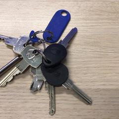 Kľúče, ako bolo nahlásené Gemeente Arnhem pomocou iLost