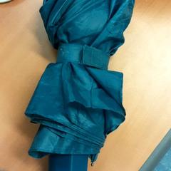 Regenschirm, gemeldet von Vrije Universiteit Brussel (VUB) über iLost