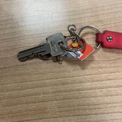 سلسلة المفاتيح Met afbeelding op label، كما تم الإبلاغ عنه بواسطة Pathé Arnhem عبر iLost