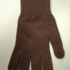 장갑 Bruin H&M, iLost를 사용하여 Burgers' Zoo에 보고됨