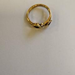 Dzwonić, zgłoszono przez Vrije Universiteit Amsterdam przy użyciu iLost