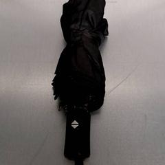 Regenschirm Svart, gemeldet von Keolis Lund über iLost