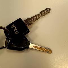 İLost kullanarak Syntus Provincie Utrecht tarafından bildirildiği gibi Anahtar