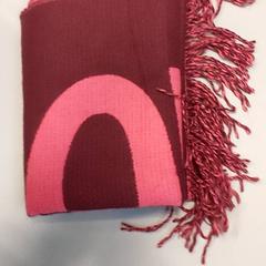 Châle, a été signalé par Regio West-Vlaanderen utilisant iLost