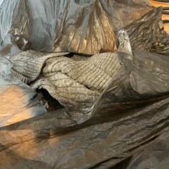 Oblečenie Gris, ako bolo nahlásené MEININGER Hotel Marseille Centre la Joliette pomocou iLost