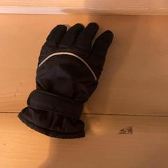 Handskar, rapporterat av Familie Resort Molenwaard med iLost