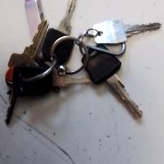 Giltza-giltza, gisa salatu by Hermes Eindhoven iLost erabiliz