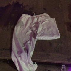 Jogger Lichtgrijs, gemeldet von De Heeren van Aemstel über iLost