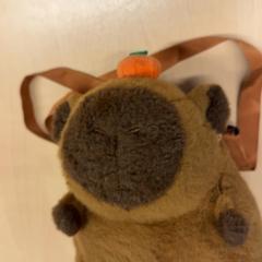 Plecak, zgłoszono przez RET przy użyciu iLost