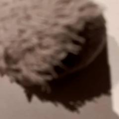 Mazlící hračka, jak nahlášeno De Efteling pomocí iLost